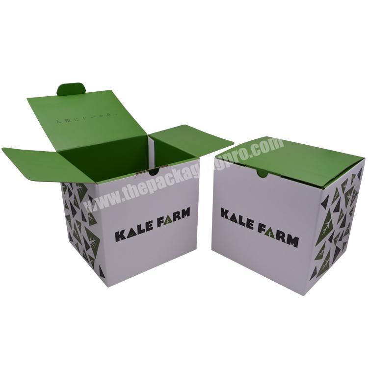 Custom corrugated carton packaging shipping box for gift