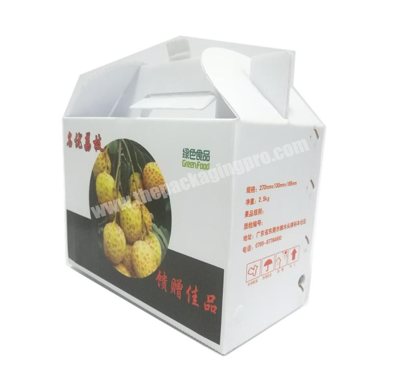 Custom reusable PP corrugated plastic fruit and vegetable boxes for packaging