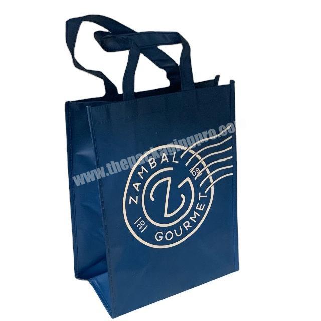 Clothing Paper Bag: Blue Luxury Shopping Printed Bag