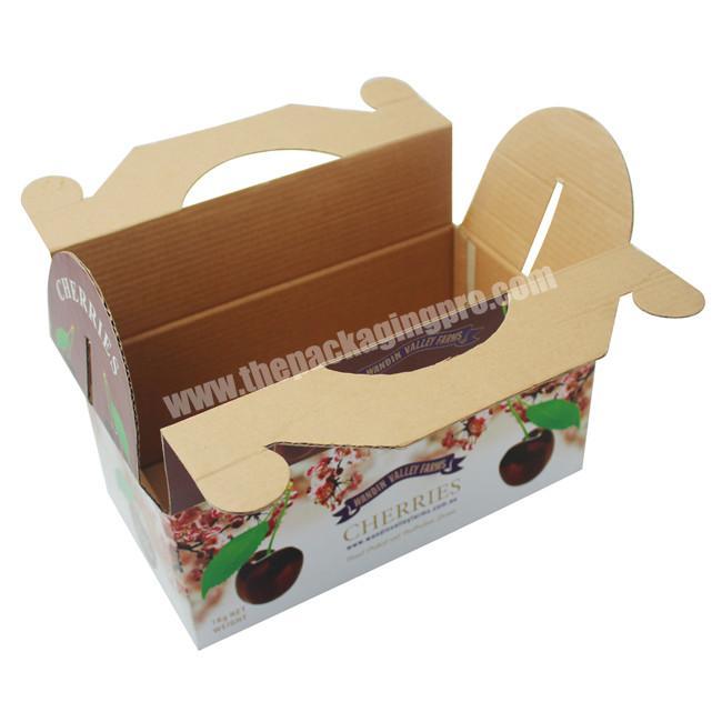 Factory Double Wall Strong Cardboard Fruit Box Cardboard Box For Fruit And Vegetable