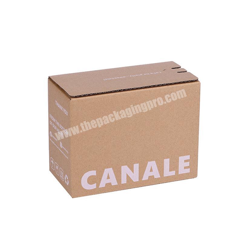 Manufacturer Custom Logo Printing Carton Personalizadas Small Corrugated Carton Box For Packing In Dongguan