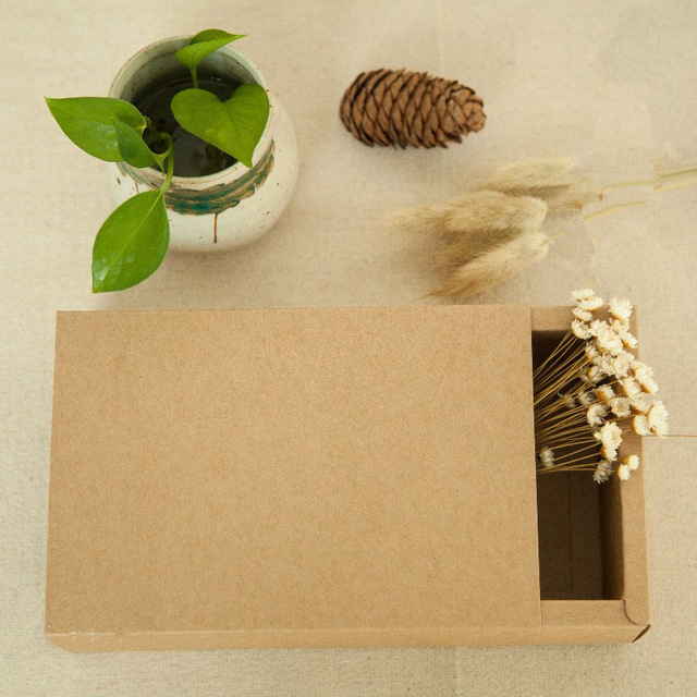 22.5*15.5*5CM Kraft Drawer Paper Boxes Food Box Jewel Gift Packaging Box 100pcs/lot Free shipping