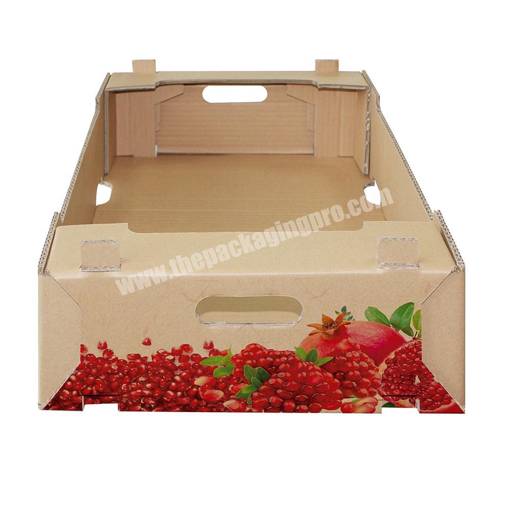 custom printed stronger cardboard paper dragon fruit packaging box