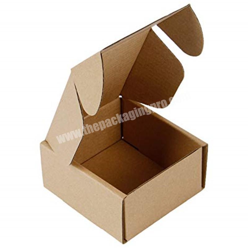 Environment-Friendly Custom Cardboard Carton Mailer Shipping box