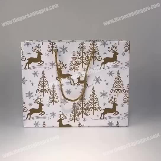 Excellent Quality Hot Sale Wholesale Custom Multi Colors Printing  Gift Paper Bag