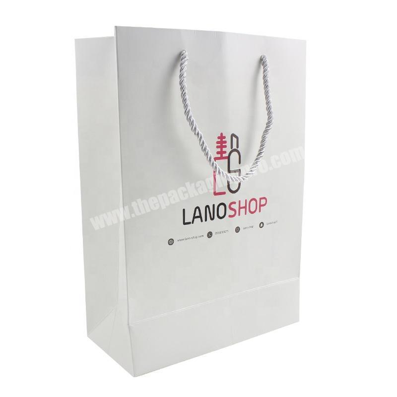 Hot Style bags paper bags shopping custom shopping paper bag with logo  Luxury Craft