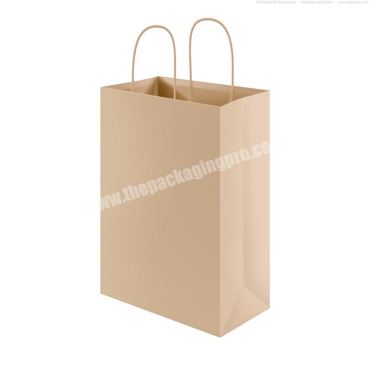 Paper Grocery Bags, Wholesale & Bulk