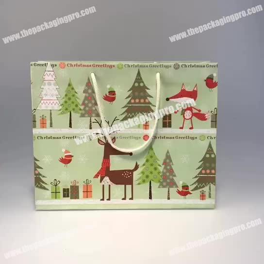 Wholesale Hot Sale Custom High Quality Paper Bag Gift Bag for Shopping