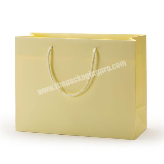 Wholesale Printed Luxury Shoes Clothes Boutique Gift Packing Paper Shipping Bags With Ribbon Handle