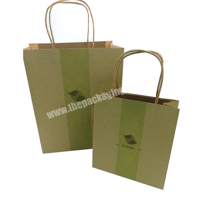 Customized Logo Printing Shopping Paper Bag Eco Friendly Wholesale High Quality Kraft Paper Cloth Packing Paper Bag